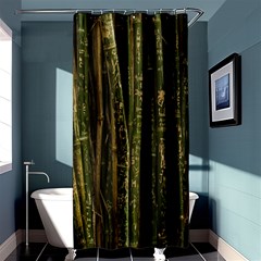 Green And Brown Bamboo Trees Shower Curtain 36  X 72  (stall) 