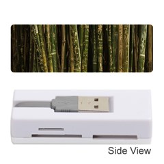 Green And Brown Bamboo Trees Memory Card Reader (stick)  by Nexatart