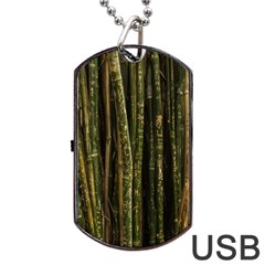 Green And Brown Bamboo Trees Dog Tag Usb Flash (two Sides) by Nexatart