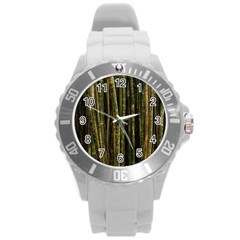 Green And Brown Bamboo Trees Round Plastic Sport Watch (l) by Nexatart