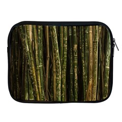 Green And Brown Bamboo Trees Apple Ipad 2/3/4 Zipper Cases by Nexatart