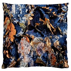 Frost Leaves Winter Park Morning Large Cushion Case (one Side) by Nexatart