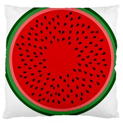 Watermelon Large Flano Cushion Case (two Sides) by Valentinaart