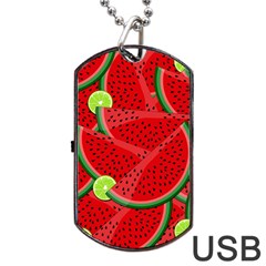 Watermelon Slices Dog Tag Usb Flash (one Side) by Valentinaart