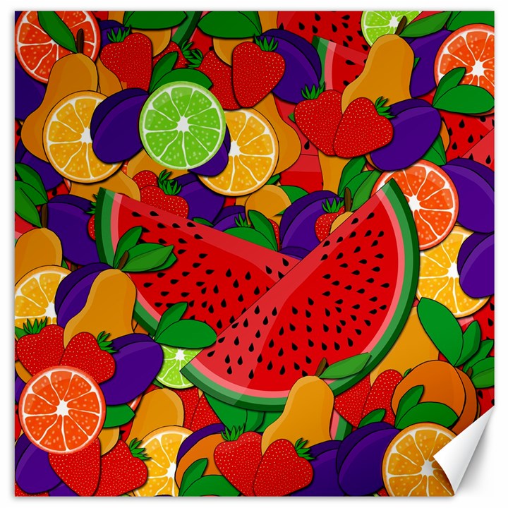 Summer fruits Canvas 16  x 16  