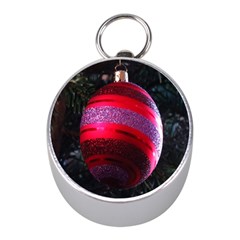 Glass Ball Decorated Beautiful Red Mini Silver Compasses by Nexatart