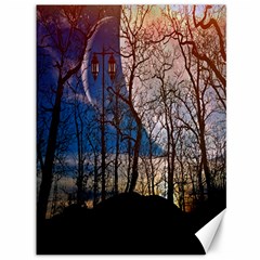 Full Moon Forest Night Darkness Canvas 36  X 48   by Nexatart