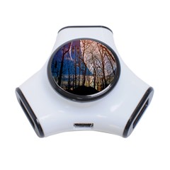 Full Moon Forest Night Darkness 3-port Usb Hub by Nexatart