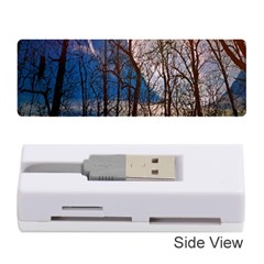 Full Moon Forest Night Darkness Memory Card Reader (stick)  by Nexatart