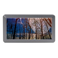 Full Moon Forest Night Darkness Memory Card Reader (mini) by Nexatart