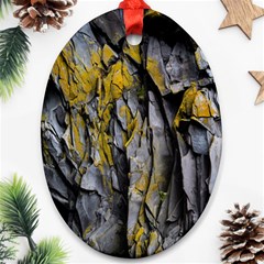 Grey Yellow Stone  Oval Ornament (two Sides) by Nexatart