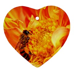 Honey Bee Takes Nectar Ornament (heart) by Nexatart