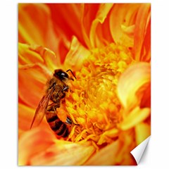 Honey Bee Takes Nectar Canvas 16  X 20   by Nexatart