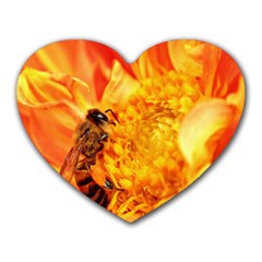 Honey Bee Takes Nectar Heart Mousepads by Nexatart