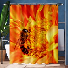 Honey Bee Takes Nectar Shower Curtain 60  X 72  (medium)  by Nexatart