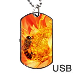 Honey Bee Takes Nectar Dog Tag Usb Flash (one Side) by Nexatart