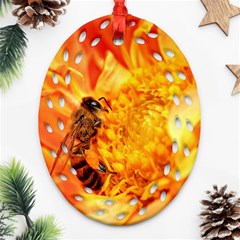 Honey Bee Takes Nectar Ornament (oval Filigree) by Nexatart