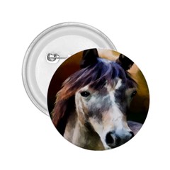 Horse Horse Portrait Animal 2 25  Buttons by Nexatart