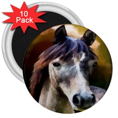 Horse Horse Portrait Animal 3  Magnets (10 Pack)  by Nexatart