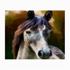 Horse Horse Portrait Animal Small Glasses Cloth by Nexatart