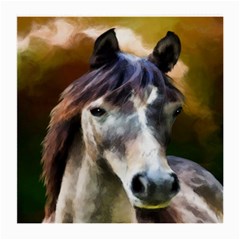 Horse Horse Portrait Animal Medium Glasses Cloth by Nexatart