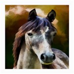 Horse Horse Portrait Animal Medium Glasses Cloth (2-Side) Front