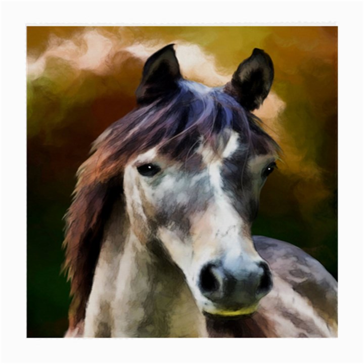 Horse Horse Portrait Animal Medium Glasses Cloth (2-Side)