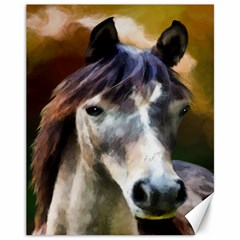 Horse Horse Portrait Animal Canvas 11  X 14   by Nexatart