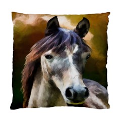 Horse Horse Portrait Animal Standard Cushion Case (one Side) by Nexatart