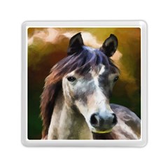 Horse Horse Portrait Animal Memory Card Reader (square)  by Nexatart