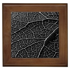 Leaf Pattern  B&w Framed Tiles