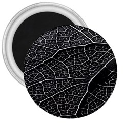 Leaf Pattern  B&w 3  Magnets by Nexatart