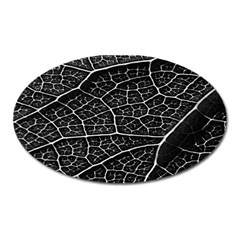 Leaf Pattern  B&w Oval Magnet