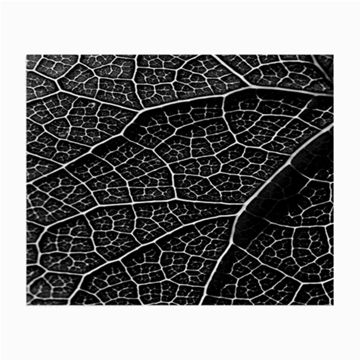 Leaf Pattern  B&w Small Glasses Cloth (2-Side)