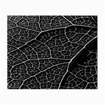 Leaf Pattern  B&w Small Glasses Cloth (2-Side) Back