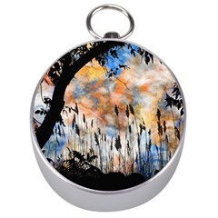 Landscape Sunset Sky Summer Silver Compasses