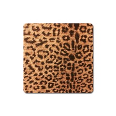 Leopard Print Animal Print Backdrop Square Magnet by Nexatart