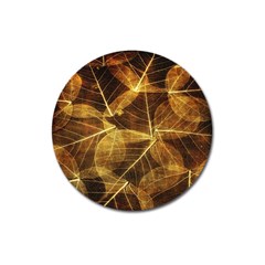 Leaves Autumn Texture Brown Magnet 3  (round) by Nexatart