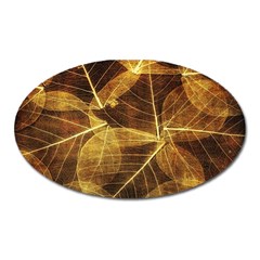 Leaves Autumn Texture Brown Oval Magnet by Nexatart