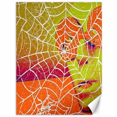 Orange Guy Spider Web Canvas 36  X 48   by Nexatart