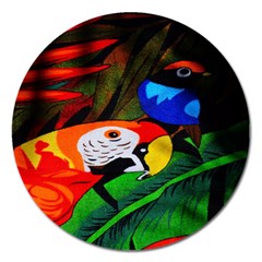 Papgei Red Bird Animal World Towel Magnet 5  (round) by Nexatart