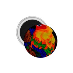 Parakeet Colorful Bird Animal 1 75  Magnets by Nexatart