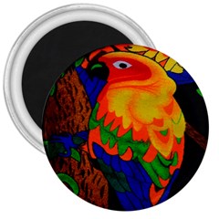 Parakeet Colorful Bird Animal 3  Magnets by Nexatart