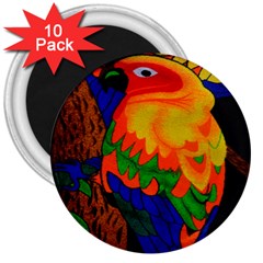 Parakeet Colorful Bird Animal 3  Magnets (10 Pack)  by Nexatart