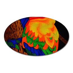 Parakeet Colorful Bird Animal Oval Magnet by Nexatart