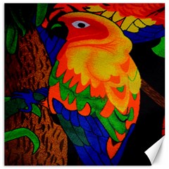 Parakeet Colorful Bird Animal Canvas 20  X 20   by Nexatart