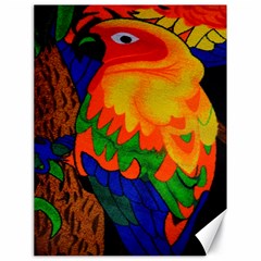 Parakeet Colorful Bird Animal Canvas 18  X 24   by Nexatart