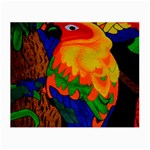 Parakeet Colorful Bird Animal Small Glasses Cloth (2-Side) Front