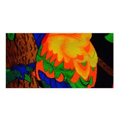 Parakeet Colorful Bird Animal Satin Shawl by Nexatart