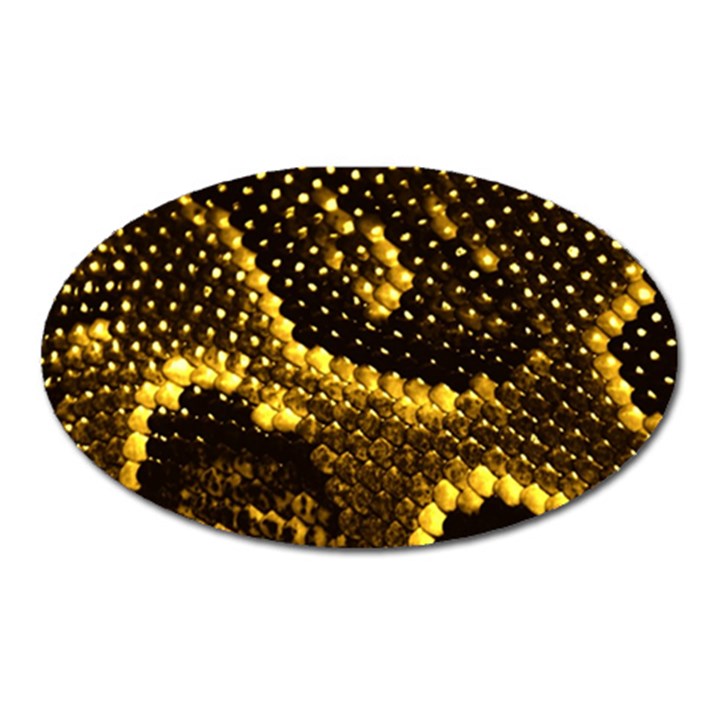 Pattern Skins Snakes Oval Magnet